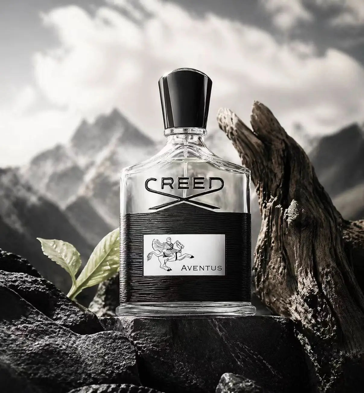 Creed Aventus: Audacious & Timeless Men's Cologne